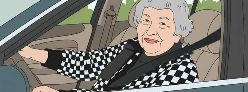 adult student driver